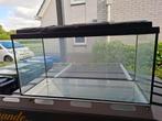 Gratis bak terrarium, Ophalen, Gebruikt, Terrarium of Paludarium