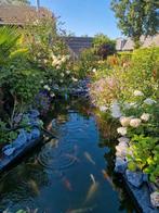 Tuinaanleg, onderhoud en beplanting in Voorthuizen