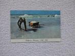Nederlandse Antillen , Saltpans Bonaire., Ophalen of Verzenden, 1960 tot 1980, Gelopen