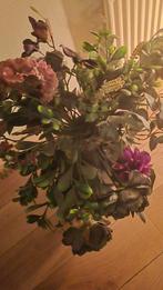 Kunstbloemen grote bos, Ophalen