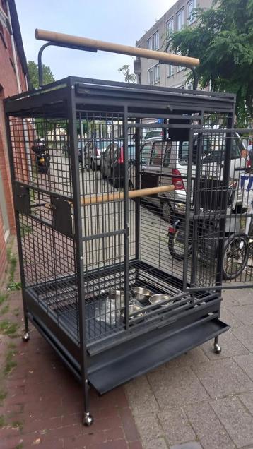 vogel kooi voor ara en kaketoe beschikbaar voor biedingen