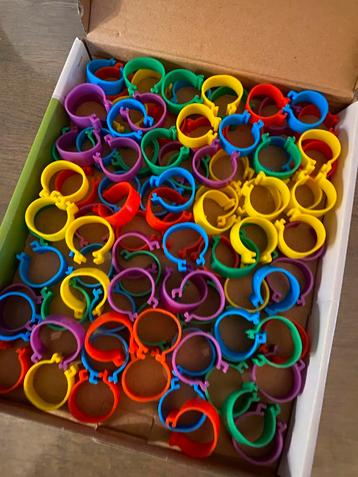 Kip eend gans vogel ringen pootringen beschikbaar voor biedingen