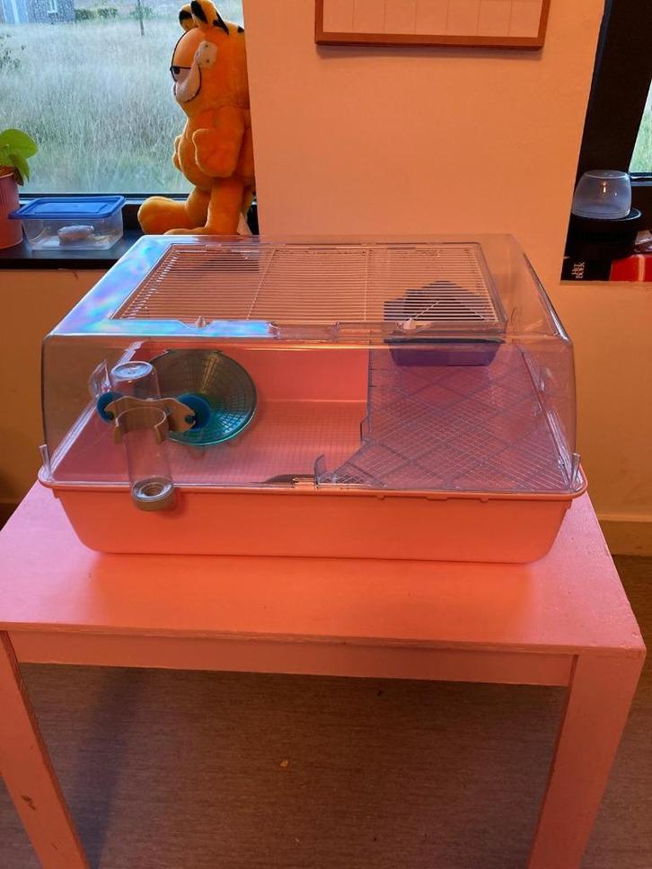 knaagdierenkooi / hamster& muizenkooi, Dieren en Toebehoren, Knaagdieren, Meerdere dieren, Muis, September