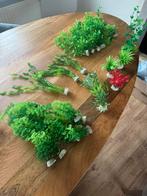Aquarium planten verschillende maten  net echt, Dieren en Toebehoren, Vissen | Aquaria en Toebehoren, Ophalen of Verzenden, Plant(en), Steen of Hout