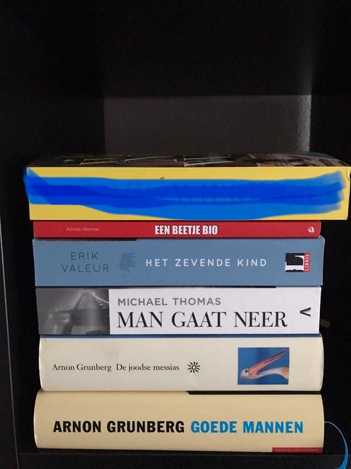 Diverse boeken column - literatuur - roman oa Arnon Grunberg, Boeken, Literatuur, Zo goed als nieuw, Nederland, Ophalen of Verzenden