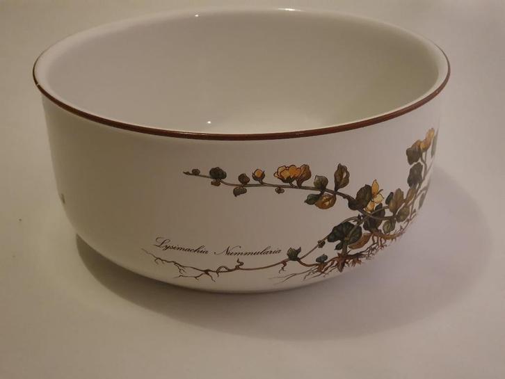 Botanica ronde schaal, Huis en Inrichting, Keuken | Servies, Gebruikt, Schaal of Schalen, Overige stijlen, Porselein, Ophalen of Verzenden