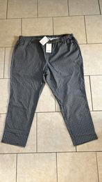 Zomerbroek van Ciso., Ophalen of Verzenden, Nieuw, Broek of Spijkerbroek