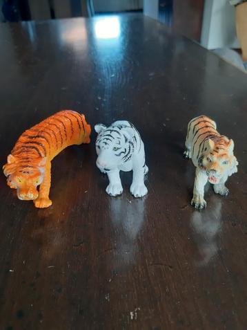 3 tijgers beschikbaar voor biedingen