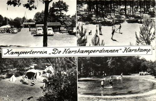 Kampeerterrein De Harskamperdennen Harskamp - 4 afb - 1963 g, Verzamelen, Ansichtkaarten | Nederland, Gelopen, Gelderland, 1960 tot 1980