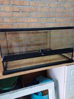 Verschillende maten exo terra terrariums., Dieren en Toebehoren, Ophalen, Zo goed als nieuw, Terrarium of Paludarium