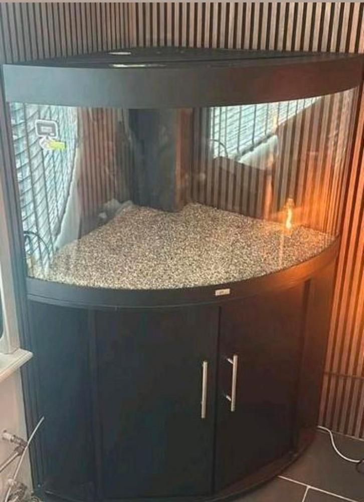 Juwel Trigon 190 liter met Helialux 700 met controller, Dieren en Toebehoren, Vissen | Aquaria en Toebehoren, Zo goed als nieuw