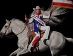 COWBOY CARTER - 21 juni Parijs VIP 6 kaart te koop, Tickets en Kaartjes, Concerten | R&B en Hiphop, Eén persoon, Juni