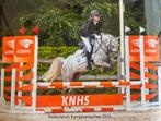 Talentvolle allround C pony Welsh, Dieren en Toebehoren, Pony's, Ruin
