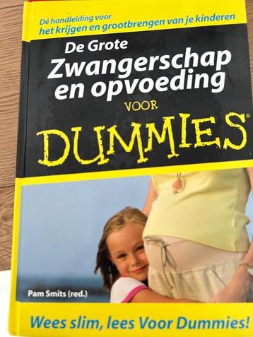 Boek - De grote zwangerschap en opvoeding voor Dummies