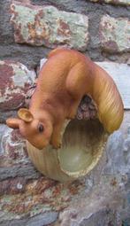 EEKHOORNTJE OP VOGELVOEDER WANDDECORATIE, Ophalen of Verzenden, Nieuw