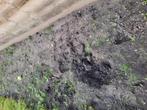 Zwarte grond, Tuin en Terras, Aarde en Mest, Ophalen, Tuinaarde