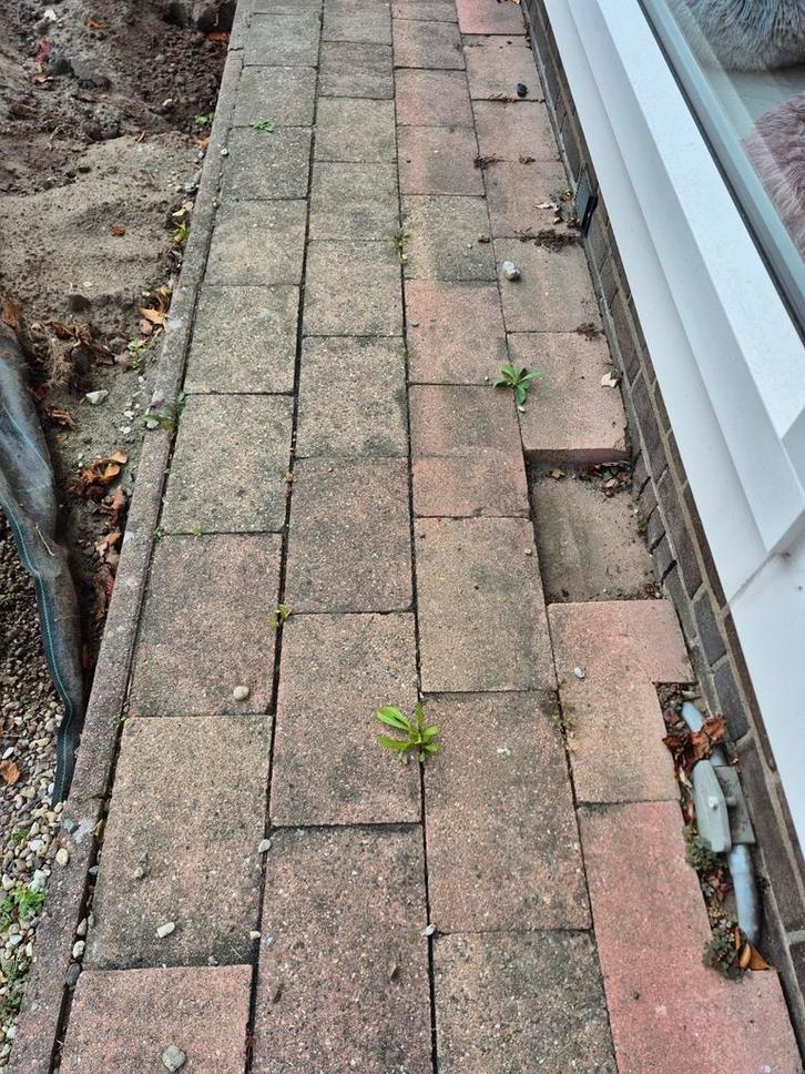 Gratis bestrating voor de tuin, Tuin en Terras, Tegels en Klinkers, Gebruikt, Terrastegels, Beton, 10 m² of meer, Ophalen