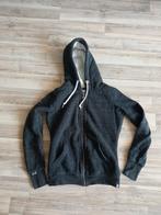 Superdry Hoodie Trui XS/XXS, Zo goed als nieuw, Maat 34 (XS) of kleiner, Grijs, Superdry
