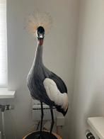 Opgezette Koningskraanvogel, Ophalen, Zo goed als nieuw, Vogel, Opgezet dier