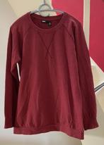 BDG - donkerrode sweater, Overige kleuren, Ophalen of Verzenden, Zo goed als nieuw, BDG