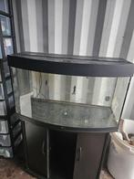 Juwel Vision 180 liter aquarium zwart 100 cm, Dieren en Toebehoren, Vissen | Aquaria en Toebehoren, Ophalen, Zo goed als nieuw