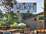 Pompoenen, eetbare pompoenen en kalebassen, Ophalen, Nieuw