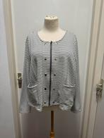 M&S mode jasje maat 48 voor 10 euro, Kleding | Dames, Grote Maten, Ophalen of Verzenden, Zo goed als nieuw, Zwart, Jasje of Colbert