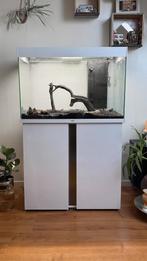 145L Aquarium – Ciano Emotions Pro – Compleet met toebehoren, Ophalen, Zo goed als nieuw, Leeg aquarium