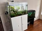 Aquarium wit 150 liter compleet, Dieren en Toebehoren, Vissen | Aquaria en Toebehoren, Ophalen, Gebruikt, Gevuld zoetwateraquarium