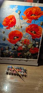 Schilderen op nummer - Veld Papaver, Hobby en Vrije tijd, Schilderen, Ophalen of Verzenden, Nieuw, Schilderen op nummer