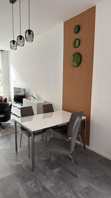 Compleet tafel en 4 stoelen