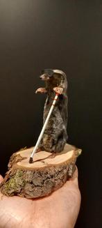 "Blinde" mol met tik stok, Ophalen of Verzenden