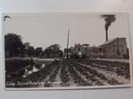 Fotokaart Marrum  zuivelfabriek, Verzamelen, Ansichtkaarten | Nederland, Verzenden, 1920 tot 1940, Gelopen, Friesland