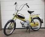 PUCH MV50 Skytrack 1973, Ophalen, Gebruikt, Overige modellen, Maximaal 45 km/u