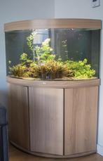 Te koop: Juwel Trigon 190 LED hoekaquarium, Ophalen, Gebruikt, Leeg aquarium