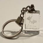 Sleutelhanger met vissen, Ophalen of Verzenden, Nieuw, Dier of Natuur
