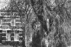 978375 Reeuwijk (dorp) Bodegraven ZH Ned herv Kerk Gelopen, Verzamelen, Ansichtkaarten | Nederland, Ophalen of Verzenden, Gelopen