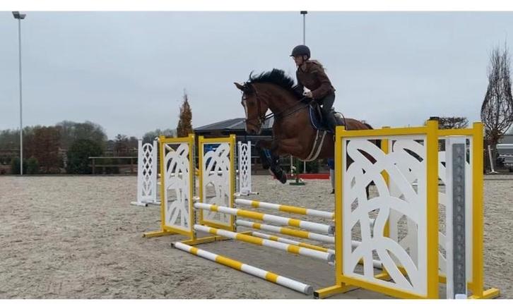 Opleren (jonge) paarden, Doorrijden, Wedstrijd, Dieren en Toebehoren, Stalling en Weidegang