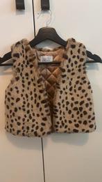 Little Pieces vestje 8-12 jaar, Ophalen of Verzenden, Zo goed als nieuw, Meisje, Trui of Vest