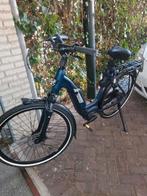 Stella Livorno, Ophalen, Zo goed als nieuw