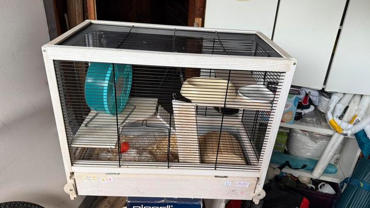 Wooden cage for hamster or small rat – good condition, Dieren en Toebehoren, Knaagdieren en Konijnen | Hokken en Kooien, Zo goed als nieuw
