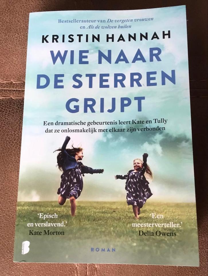 Wie naar de sterren grijpt - Kristin Hannah, Boeken, Romans, Zo goed als nieuw, Nederland, Ophalen of Verzenden