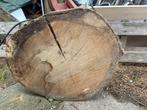 Onafgewerkte kersen schijf 24 kg, Doe-het-zelf en Verbouw, Hout en Planken, Ophalen, Overige typen, Nieuw, 50 mm of meer