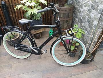 cortina crush beschikbaar voor biedingen