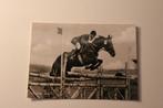 Z/w Paarden Postkaart - Springruiter HG Winkler en Halla 56, Verzamelen, Ansichtkaarten | Dieren, 1940 tot 1960, Paard, Ongelopen