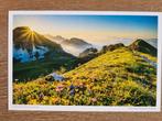 Kaart ZWITSERLAND postcrossing nieuw, Verzamelen, Ansichtkaarten | Buitenland, Ophalen, 1980 tot heden, Overig Europa