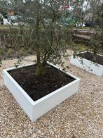 2 grote plantenbakken wit, Ophalen, Overige materialen, 100 cm of meer, Vierkant