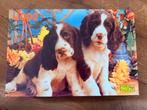 Twee puzzels- 1000 stukjes, Ophalen, Gebruikt