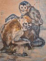 Litho van Apen uit artis door C Mension, Antiek en Kunst, Ophalen of Verzenden