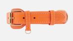 William Walker Plain Set – XL – Oranje – Luxe Hondenaccessoi, Dieren en Toebehoren, Ophalen of Verzenden, Nieuw